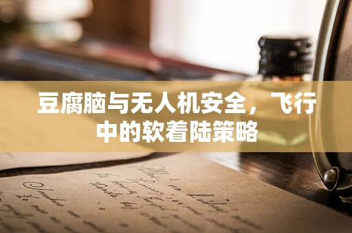 豆腐脑与无人机安全，飞行中的软着陆策略