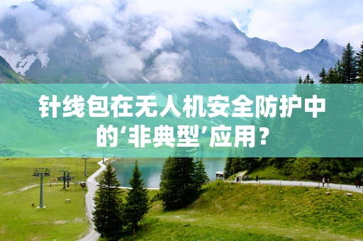 针线包在无人机安全防护中的‘非典型’应用？