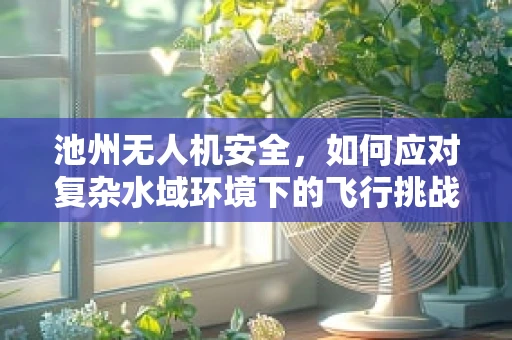 池州无人机安全，如何应对复杂水域环境下的飞行挑战？