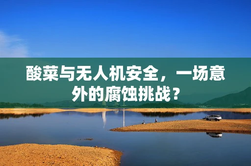 酸菜与无人机安全，一场意外的腐蚀挑战？