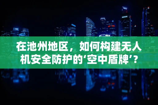 在池州地区，如何构建无人机安全防护的‘空中盾牌’？