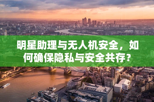 明星助理与无人机安全，如何确保隐私与安全共存？