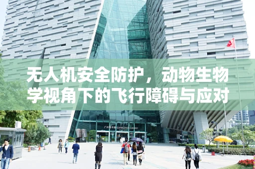 无人机安全防护，动物生物学视角下的飞行障碍与应对策略