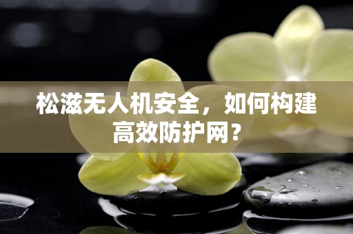 松滋无人机安全，如何构建高效防护网？