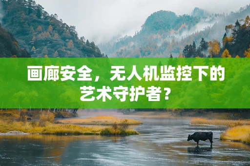 画廊安全，无人机监控下的艺术守护者？