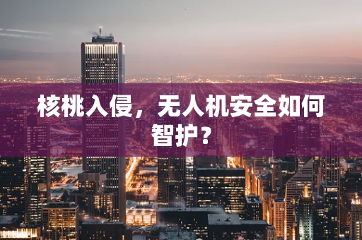 核桃入侵，无人机安全如何智护？
