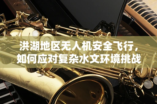 洪湖地区无人机安全飞行，如何应对复杂水文环境挑战？