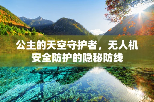 公主的天空守护者，无人机安全防护的隐秘防线