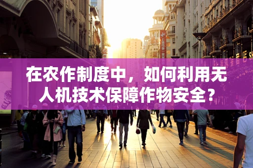 在农作制度中，如何利用无人机技术保障作物安全？