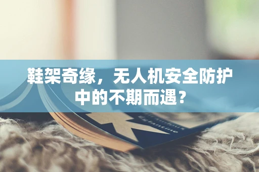 鞋架奇缘，无人机安全防护中的不期而遇？