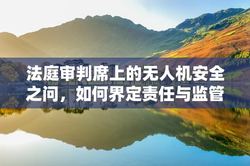 法庭审判席上的无人机安全之问，如何界定责任与监管？