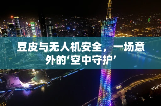 豆皮与无人机安全，一场意外的‘空中守护’