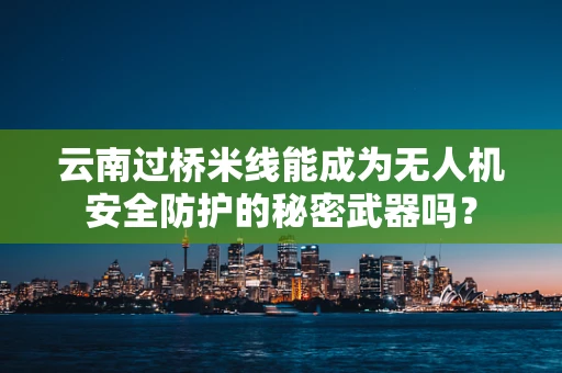 云南过桥米线能成为无人机安全防护的秘密武器吗？