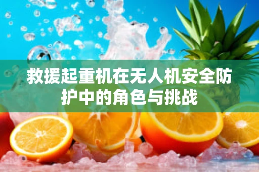 救援起重机在无人机安全防护中的角色与挑战