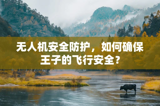 无人机安全防护，如何确保王子的飞行安全？