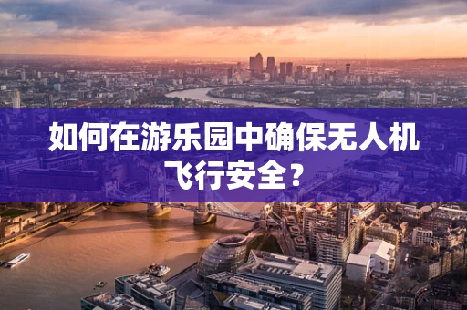 如何在游乐园中确保无人机飞行安全？