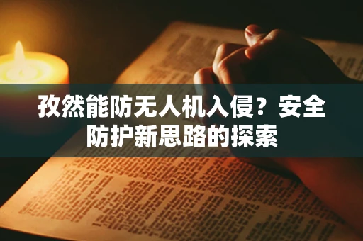 孜然能防无人机入侵？安全防护新思路的探索