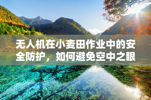 无人机在小麦田作业中的安全防护，如何避免空中之眼变隐形威胁？