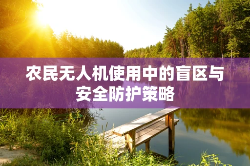农民无人机使用中的盲区与安全防护策略