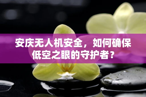 安庆无人机安全，如何确保低空之眼的守护者？