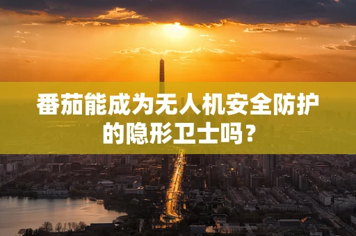 番茄能成为无人机安全防护的隐形卫士吗？