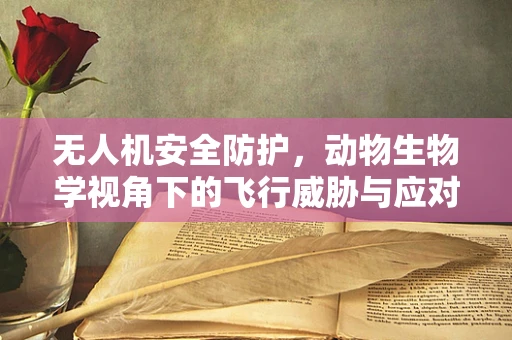 无人机安全防护，动物生物学视角下的飞行威胁与应对策略