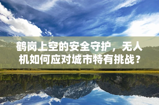 鹤岗上空的安全守护，无人机如何应对城市特有挑战？