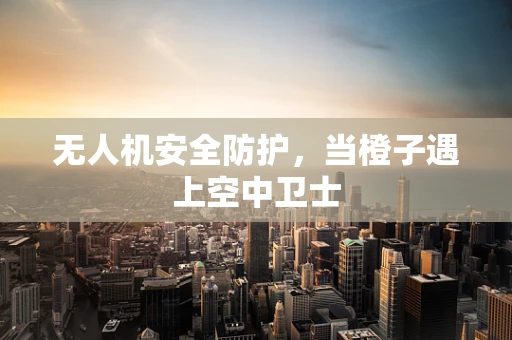 无人机安全防护，当橙子遇上空中卫士