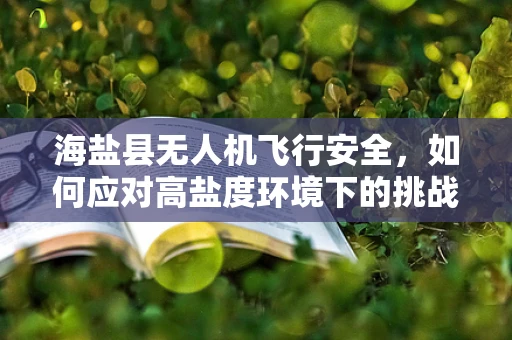 海盐县无人机飞行安全，如何应对高盐度环境下的挑战？