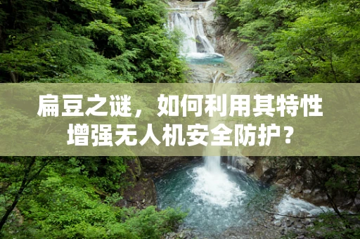 扁豆之谜，如何利用其特性增强无人机安全防护？