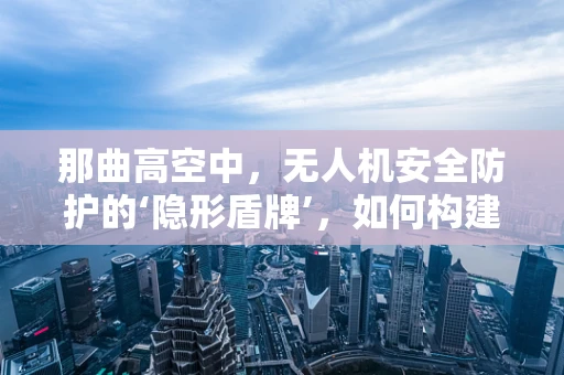 那曲高空中，无人机安全防护的‘隐形盾牌’，如何构建？