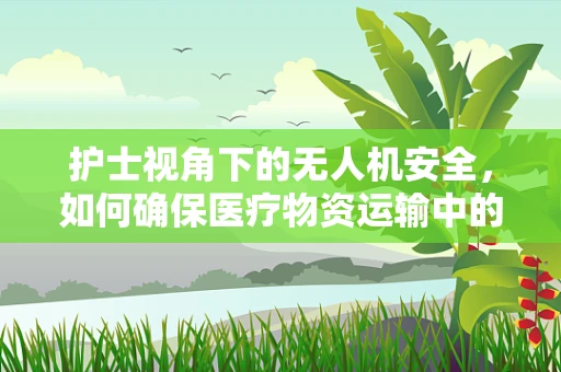 护士视角下的无人机安全，如何确保医疗物资运输中的‘空中护士’安全无虞？