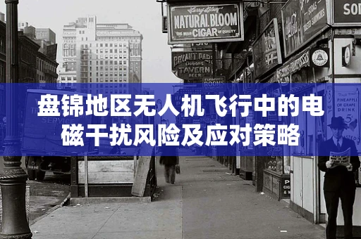 盘锦地区无人机飞行中的电磁干扰风险及应对策略