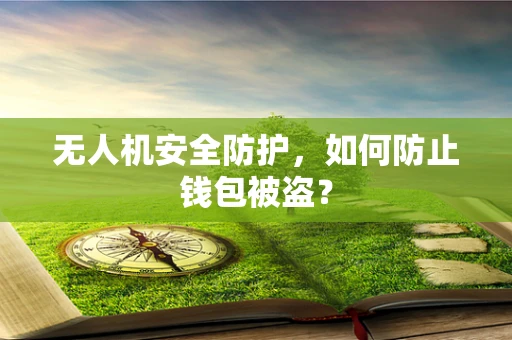 无人机安全防护，如何防止钱包被盗？