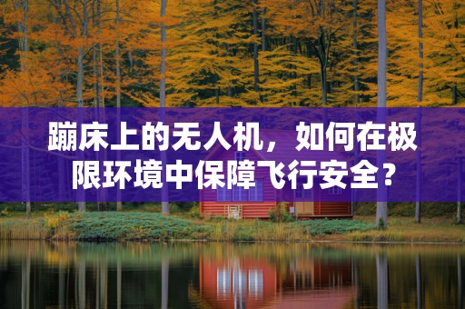 蹦床上的无人机，如何在极限环境中保障飞行安全？