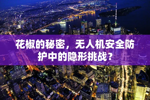 花椒的秘密，无人机安全防护中的隐形挑战？