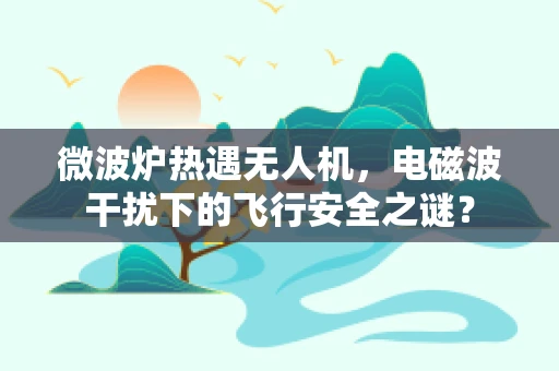 微波炉热遇无人机，电磁波干扰下的飞行安全之谜？
