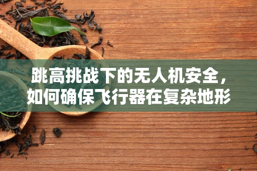 跳高挑战下的无人机安全，如何确保飞行器在复杂地形中的稳定与防护？
