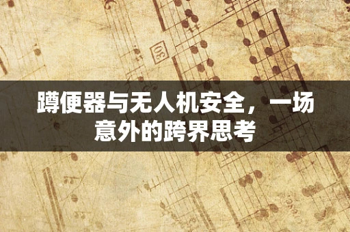 蹲便器与无人机安全，一场意外的跨界思考
