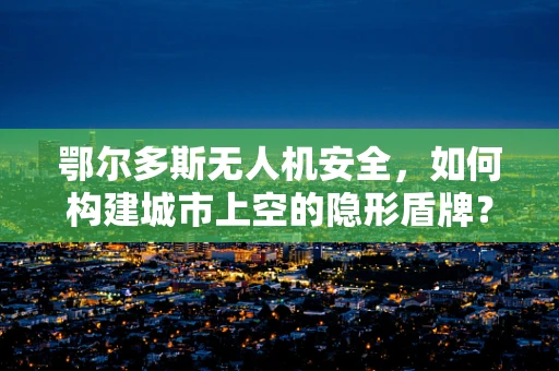 鄂尔多斯无人机安全，如何构建城市上空的隐形盾牌？
