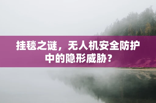 挂毯之谜，无人机安全防护中的隐形威胁？
