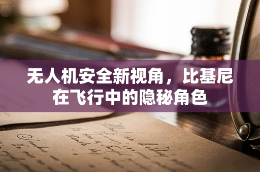 无人机安全新视角，比基尼在飞行中的隐秘角色