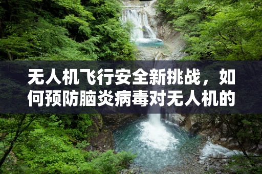 无人机飞行安全新挑战，如何预防脑炎病毒对无人机的潜在威胁？