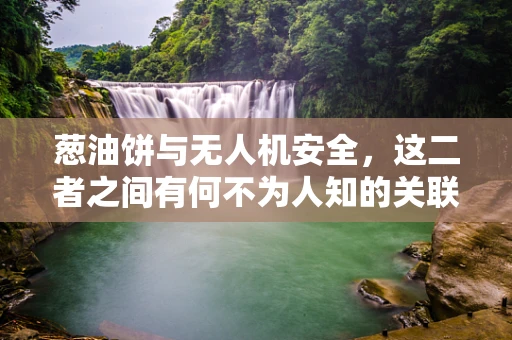 葱油饼与无人机安全，这二者之间有何不为人知的关联？
