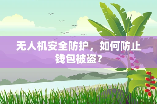 无人机安全防护，如何防止钱包被盗？
