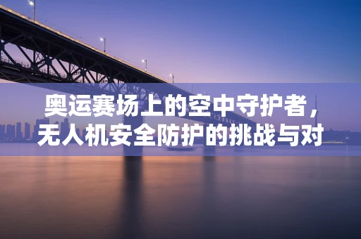 奥运赛场上的空中守护者，无人机安全防护的挑战与对策