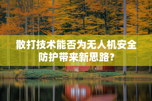 散打技术能否为无人机安全防护带来新思路？