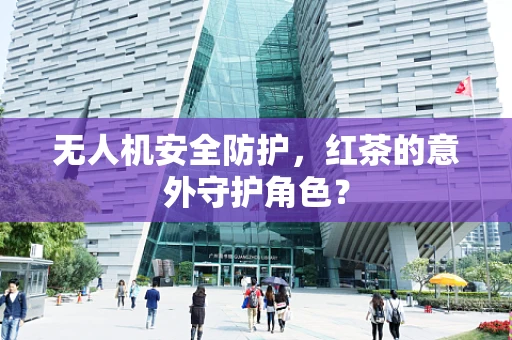 无人机安全防护，红茶的意外守护角色？
