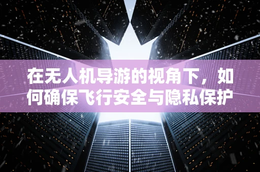 在无人机导游的视角下，如何确保飞行安全与隐私保护的平衡？