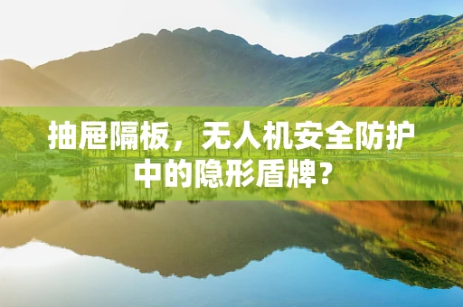 抽屉隔板，无人机安全防护中的隐形盾牌？